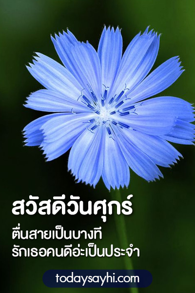 สวัสดีวันศุกร์