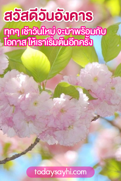 สวัสดีวันอังคาร