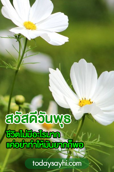 สวัสดีวันพุธ