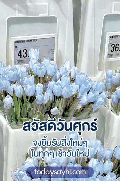 สวัสดีวันศุกร์