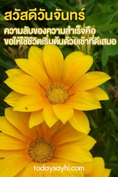 สวัสดีวันจันทร์