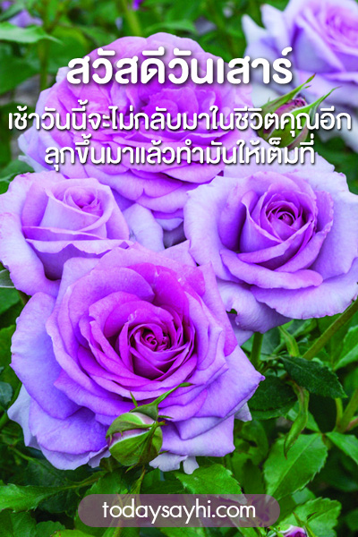สวัสดีวันเสาร์