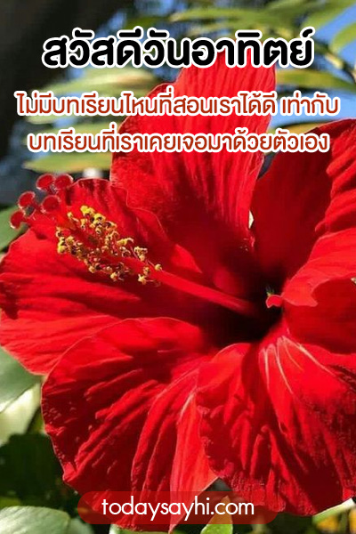 สวัสดีวันอาทิตย์