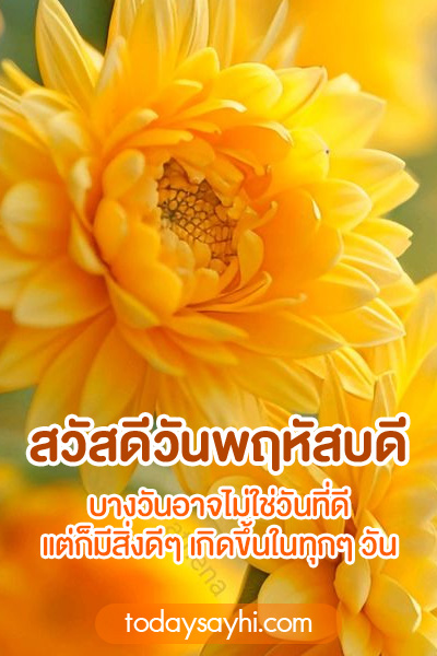 สวัสดีวันพฤหัสบดี