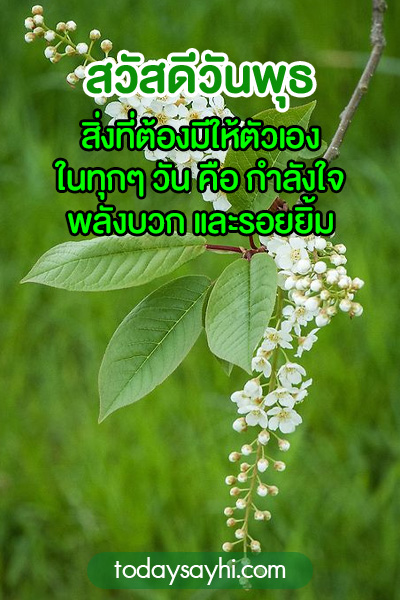 สวัสดีวันพุธ
